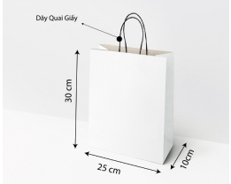 Túi giấy kraft trắng C30-N25-H10